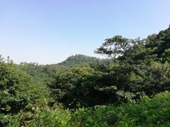 -火炉山森林公园