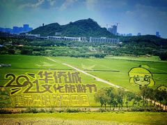 -光明小镇欢乐田园