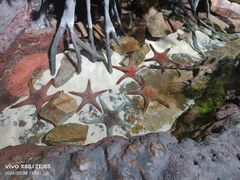 -杭州长乔极地海洋公园