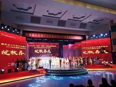 -陕西省小天鹅艺术团