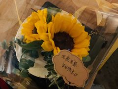-小苍兰风铃草·礼物蛋糕(沈阳店)