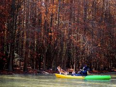 -上海海湾国家森林公园