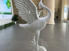 -盐城丹顶鹤湿地生态旅游区