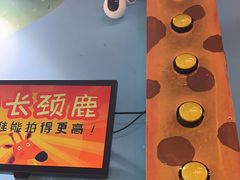 -不可思议减压馆·解压博物馆·摔碗发泄·团建定制
