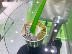 -Salud撒露欧洲冻酸奶(蓝色港湾店)