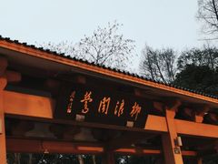 -柳浪闻莺公园