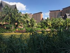 -三亚湾红树林度假世界(木棉酒店)