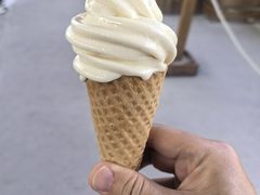 -鹿境梅花鹿生态园区