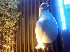 -琬苑鸽庄·川粤融合菜(解放碑总店)