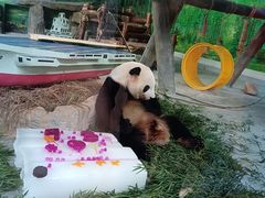 -灵玲国际马戏城