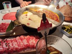 -九鼎轩脆毛肚火锅(三钢里店)