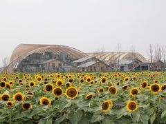 -中国天府农业博览园