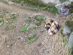 -宁波野生动物园