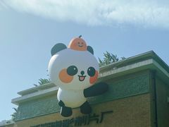 -西安电影制片厂