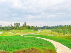 -白鹭湾湿地公园