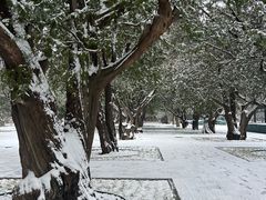 -北京市劳动人民文化宫(太庙)