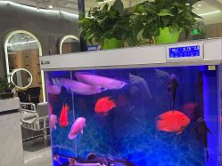 -宝诗护肤造型