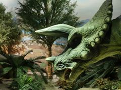 -国家自然博物馆