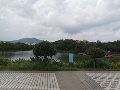 -广垦（茂名）国家热带农业公园