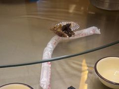 -生态苑农庄(十里画廊遇龙河店)
