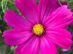 -洪湖湿地生态园