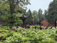 -洛阳白马寺
