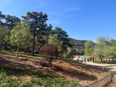 -北京西山国家森林公园