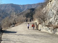-北京鹫峰国家森林公园