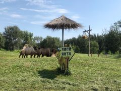 -北京野生动物园