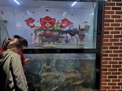 门面-肥鱼屯活鱼锅(惠工街店)