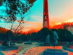 -南京古林公园