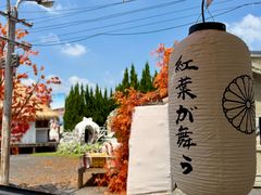 -Blue Concept Cafe&Farm·關於藍