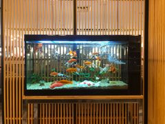 -菊上料理(蜀山银泰百货店)