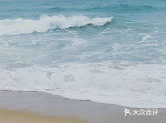 每年春天他们会在岸边孵蛋