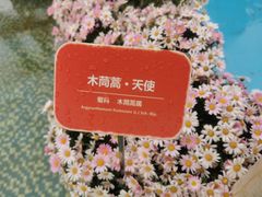 -海心沙亚运公园