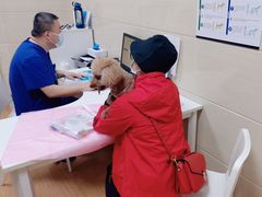 -北京观赏动物医院·24小时大型综合·猫专科·异宠专科