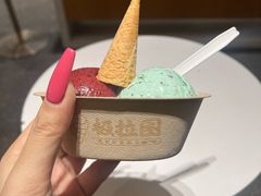 -极拉图·现制冰淇淋(大卫城店)