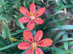 -采蝶轩(明珠商业广场店)