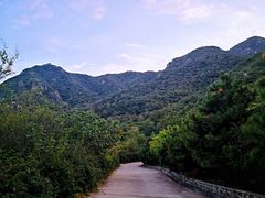 -北京鹫峰国家森林公园