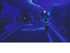 -成都浩海立方海洋公园