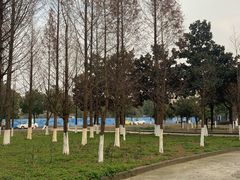 -南京信息职业技术学院
