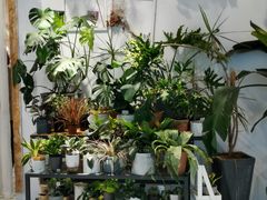 -The Green Party(嘉里中心店)