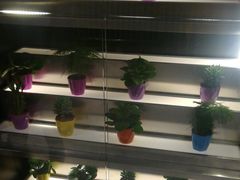 -海底捞火锅(金光华店)