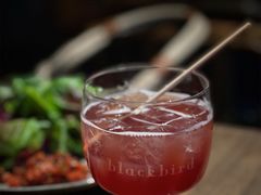 -毛辣果·酸(OHA复兴西路店)