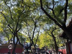 -北京国子监胡同