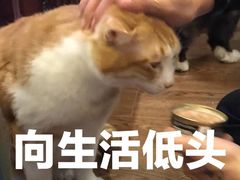 -凯德广场(西城店)