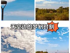 -贡湖湾湿地公园