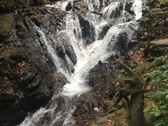 -莫里热带雨林景区