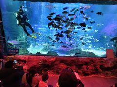 -沈阳海洋探索中心