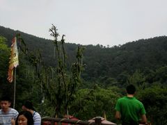 -楠柏弯休闲山庄(梨花溪店)
